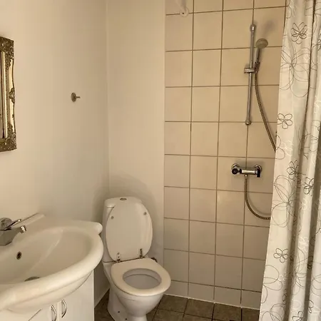 Stort Vaerelse Med Eget Toilet Og Bad Apartament
